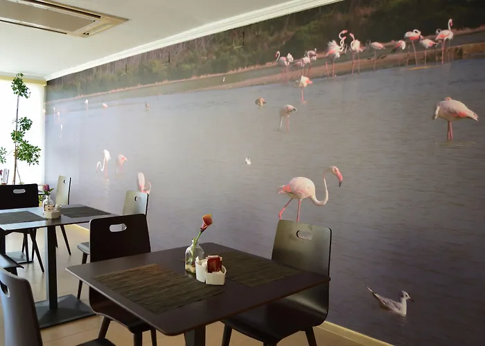 Porto فندق كاليبي